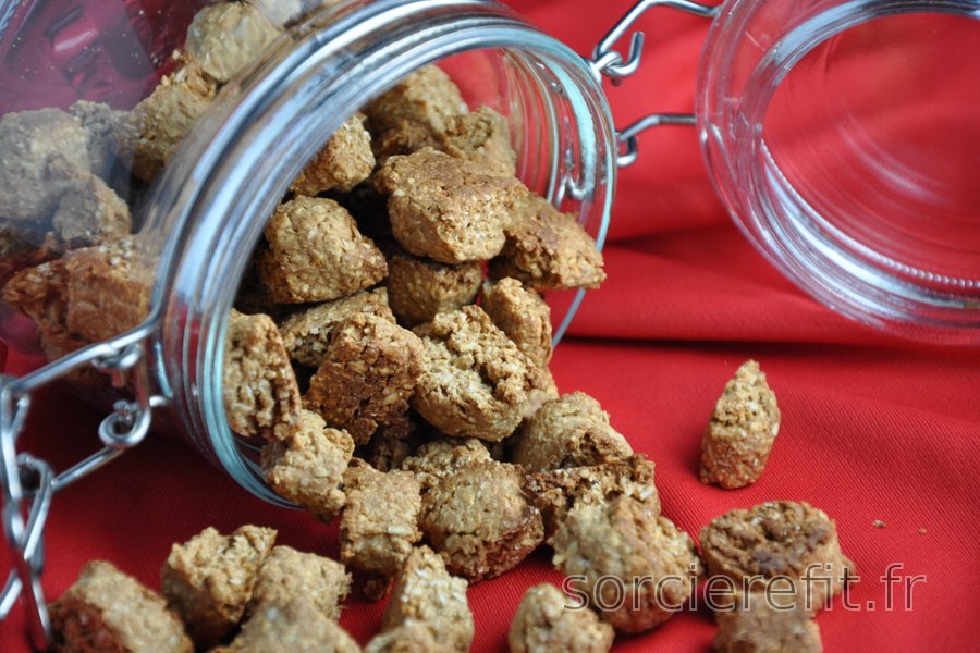 Cookies sains au pain d’épices